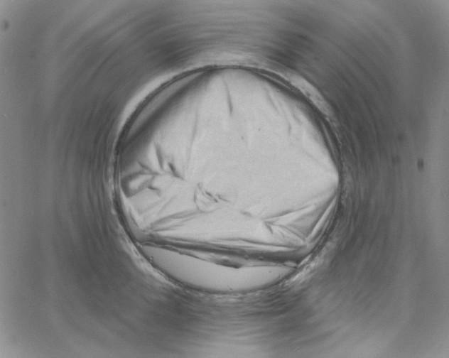 X0000060740904200512081915