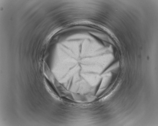 X0000060740905200512081915