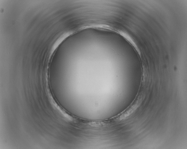 X0000060740906200512081914