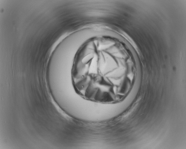 X0000060740909200512081914