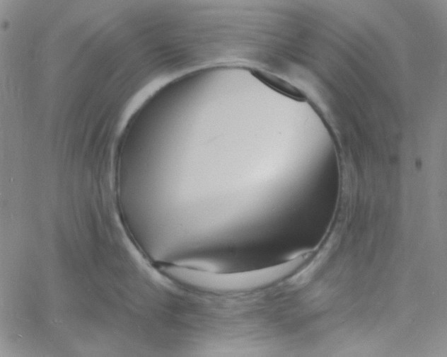 X0000060740910200512081914