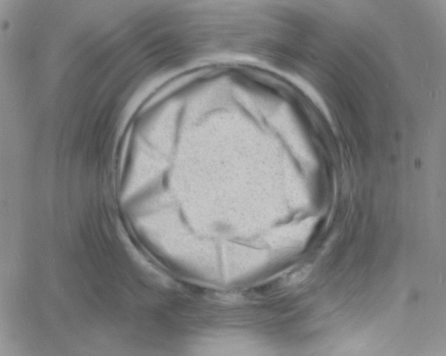 X0000060740911200512081914