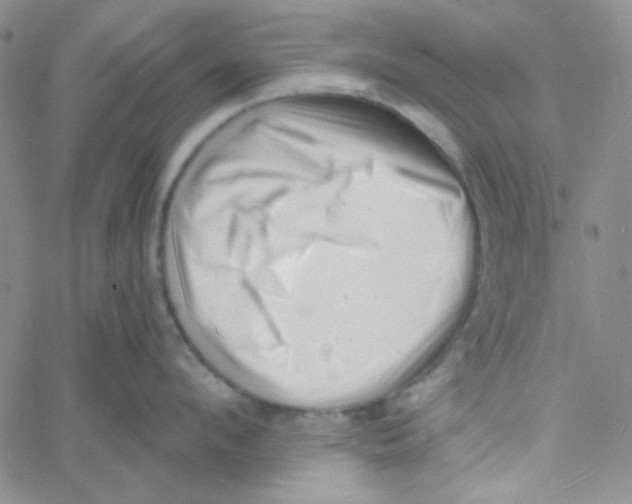 X0000060740912200512081914