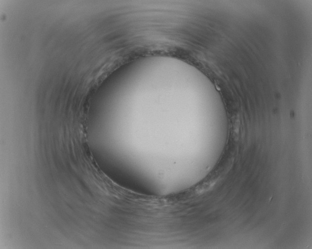 X0000060740916200512081914