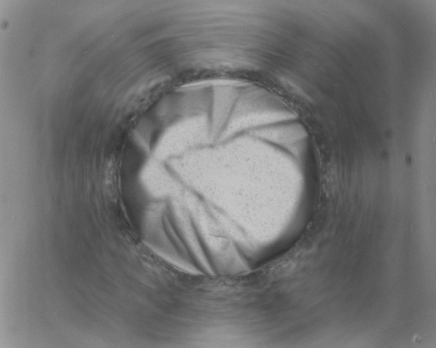 X0000060740917200512081914