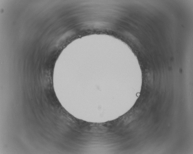 X0000060740918200512081914