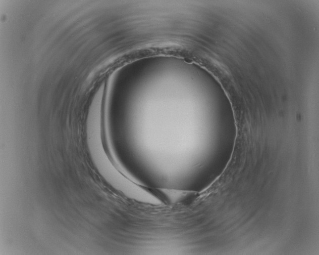 X0000060740920200512081914