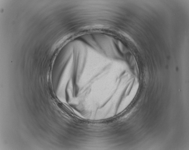 X0000060740921200512081914