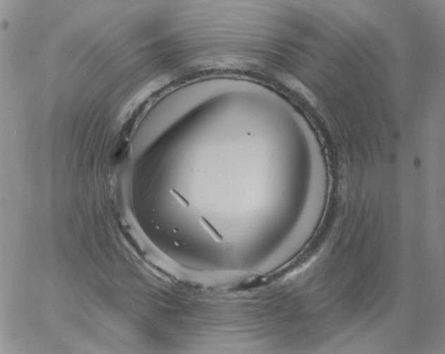 X0000060740922200512081914