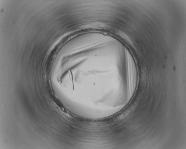 X0000060740923200512081914