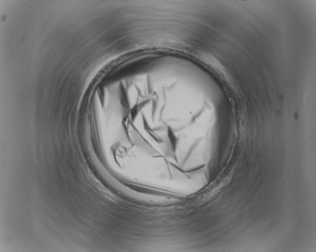 X0000060740924200512081914