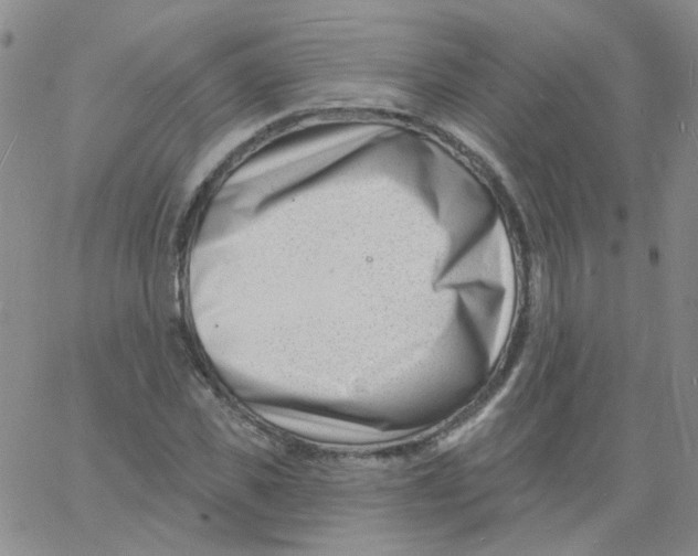 X0000060740925200512081914