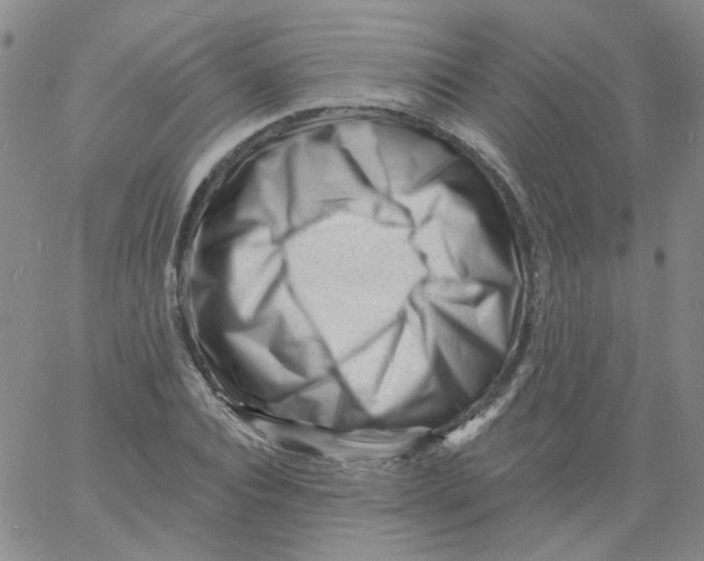 X0000060740928200512081914