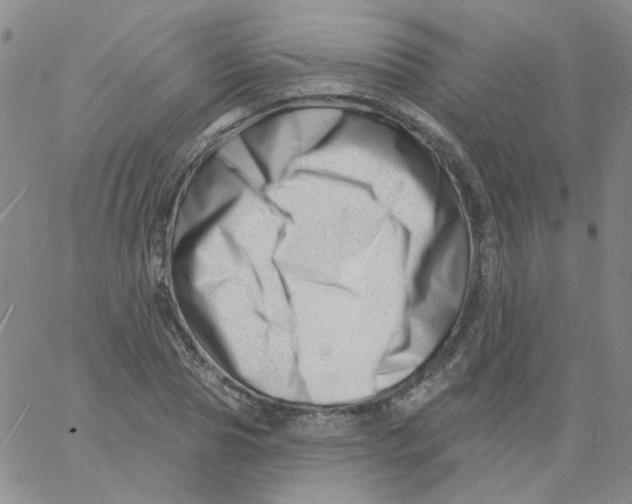 X0000060740929200512081914