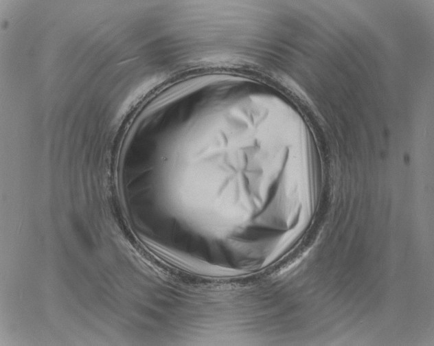 X0000060740930200512081914