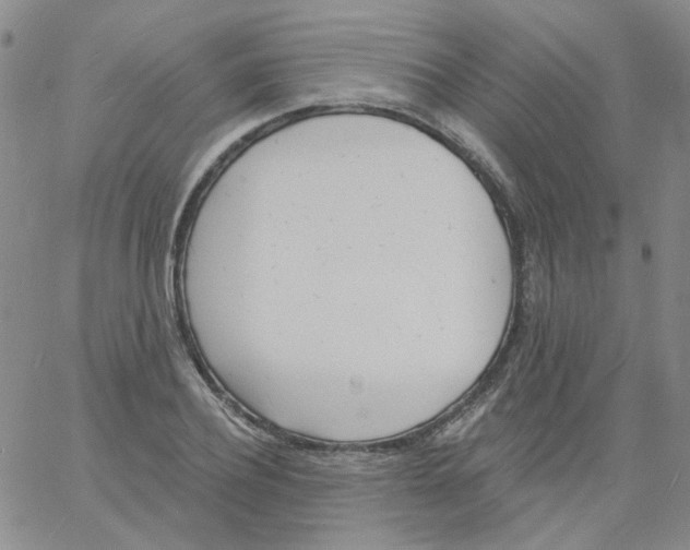 X0000060740932200512081914