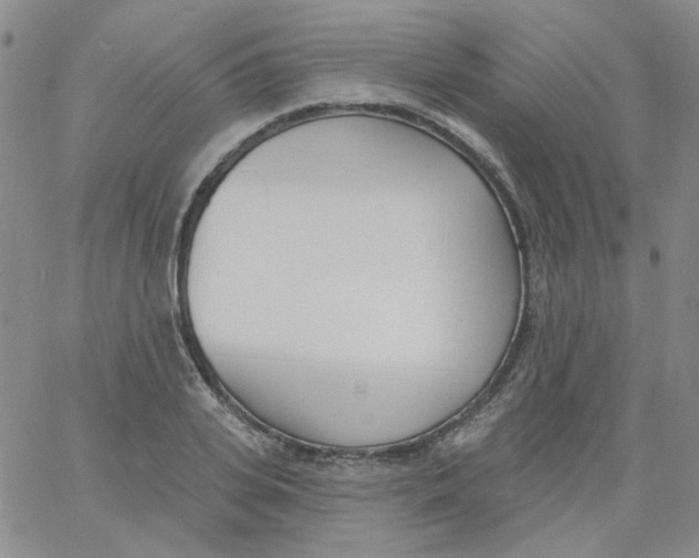 X0000060740935200512081914