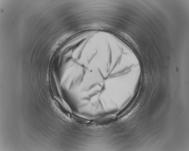 X0000060740938200512081914