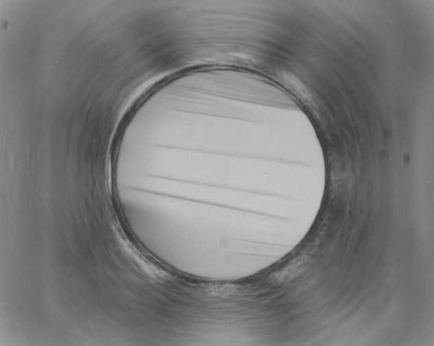 X0000060740940200512081914