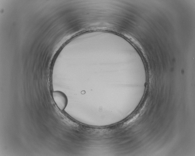 X0000060740941200512081914