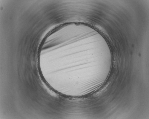 X0000060740942200512081914