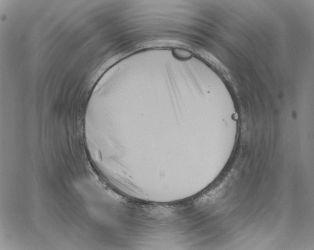 X0000060740945200512081914