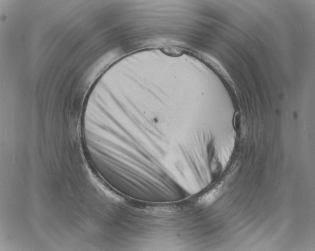 X0000060740946200512081914