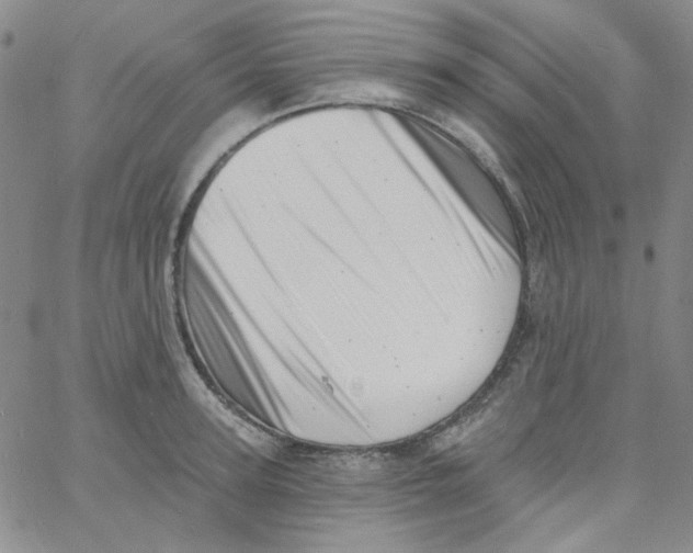 X0000060740947200512081914