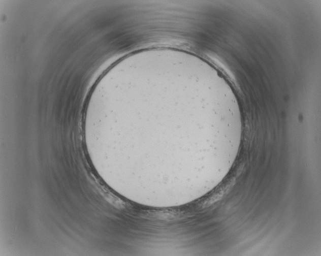 X0000060740948200512081914