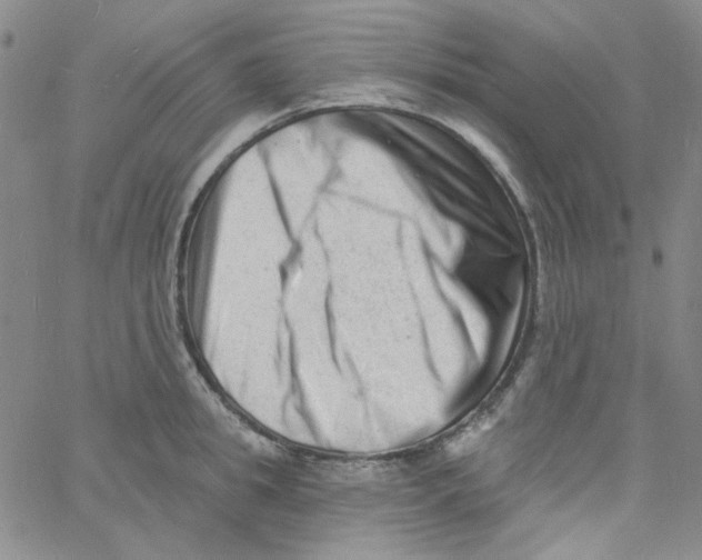 X0000060740949200512081914