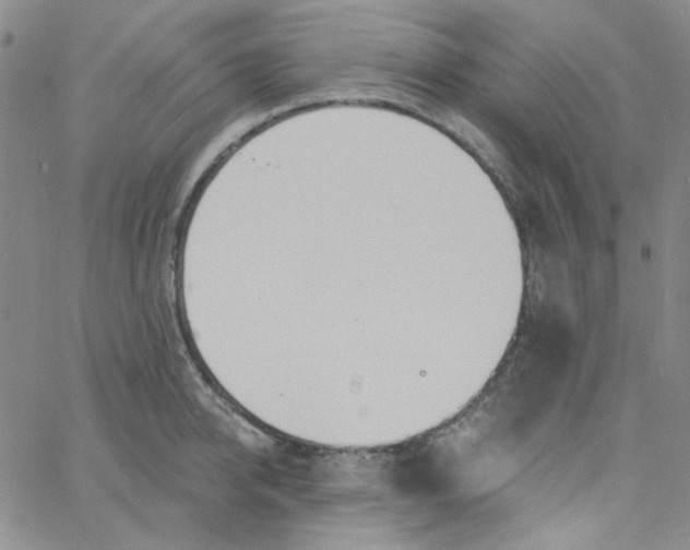 X0000060740950200512081914