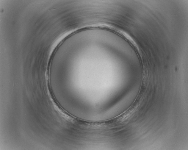 X0000060740951200512081914