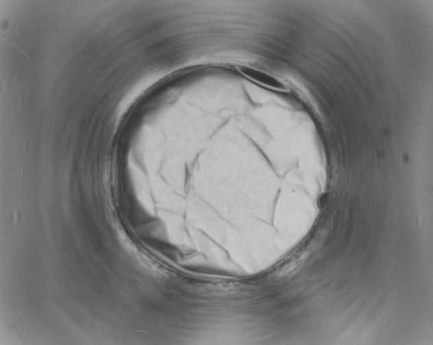 X0000060740952200512081914