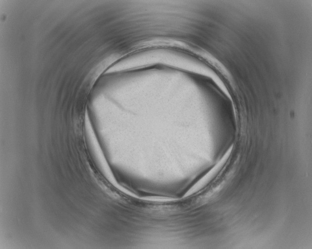 X0000060740953200512081914