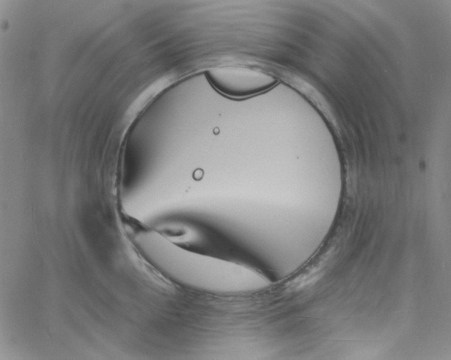 X0000060740954200512081914