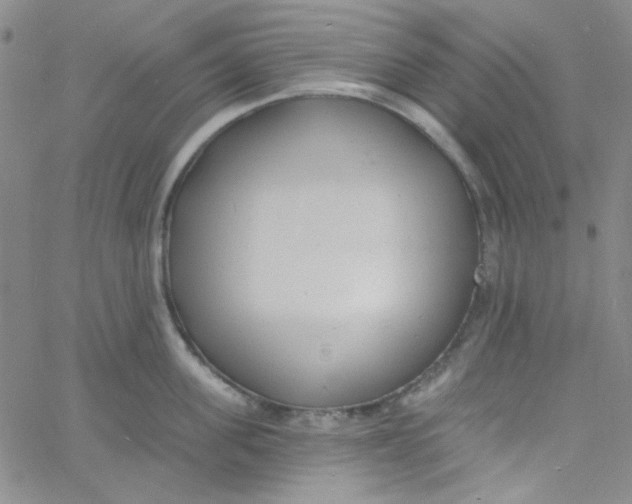 X0000060740955200512081914