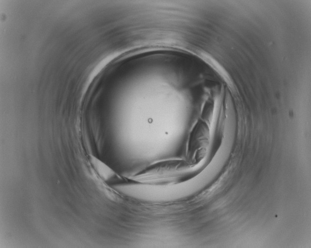 X0000060740956200512081914