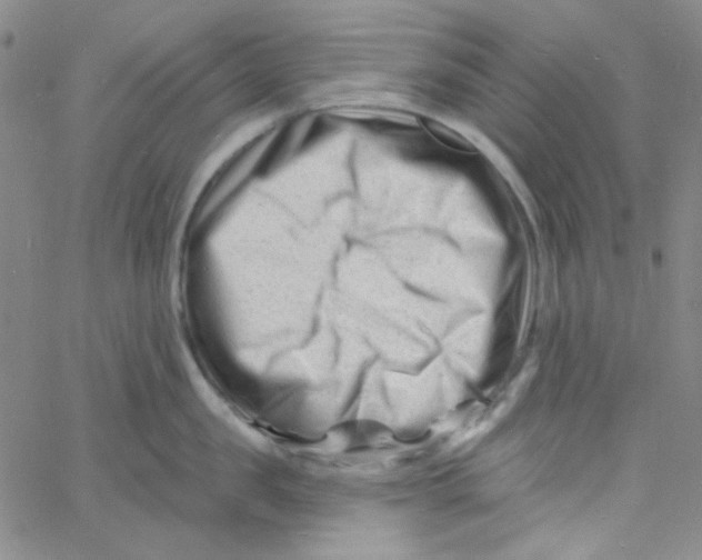 X0000060740957200512081914