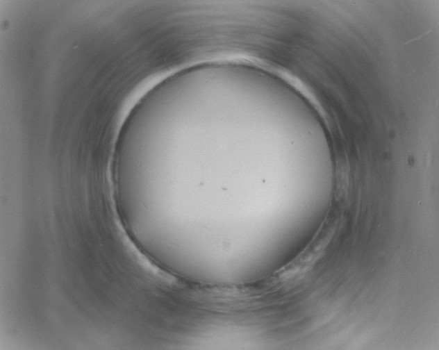 X0000060740959200512081914