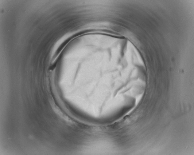 X0000060740960200512081914