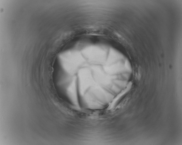 X0000060740961200512081914