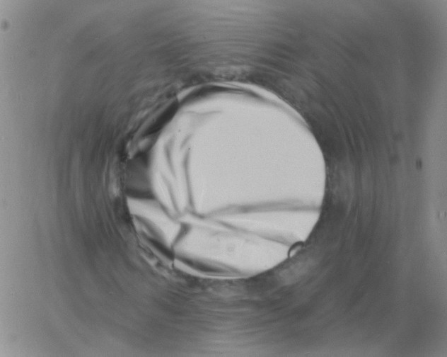 X0000060740962200512081914