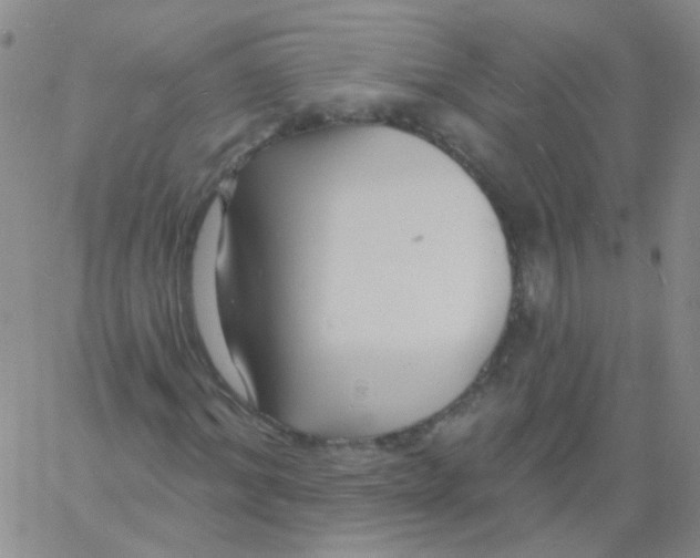 X0000060740964200512081914