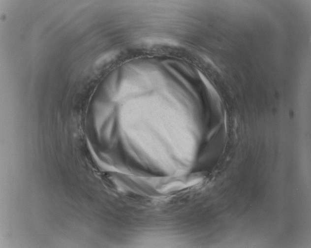 X0000060740965200512081914