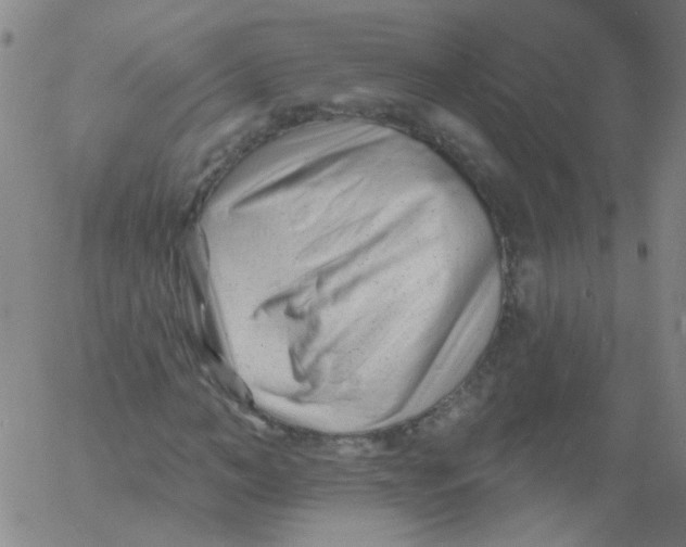 X0000060740966200512081914