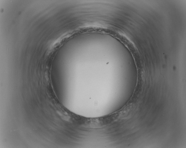 X0000060740968200512081913