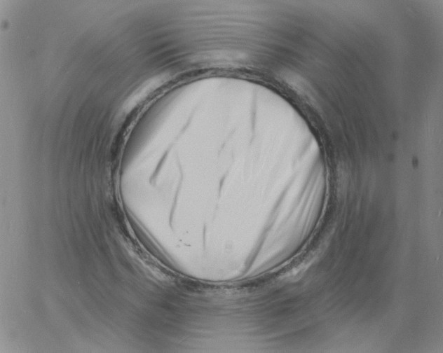 X0000060740970200512081913