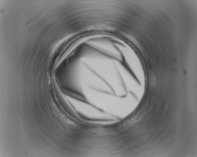 X0000060740971200512081913