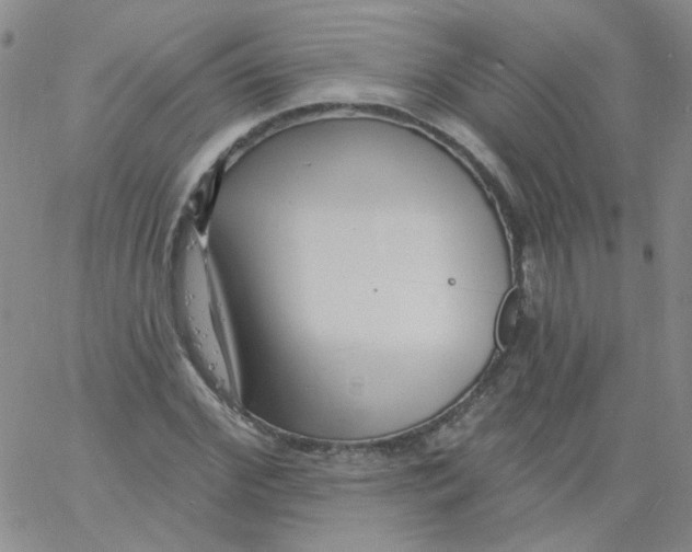 X0000060740972200512081913