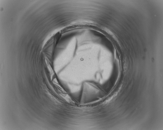 X0000060740973200512081913